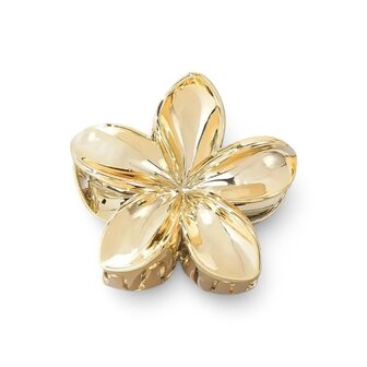 haarklem Flora - goud