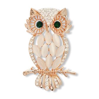 *COMING SOON* observer owl